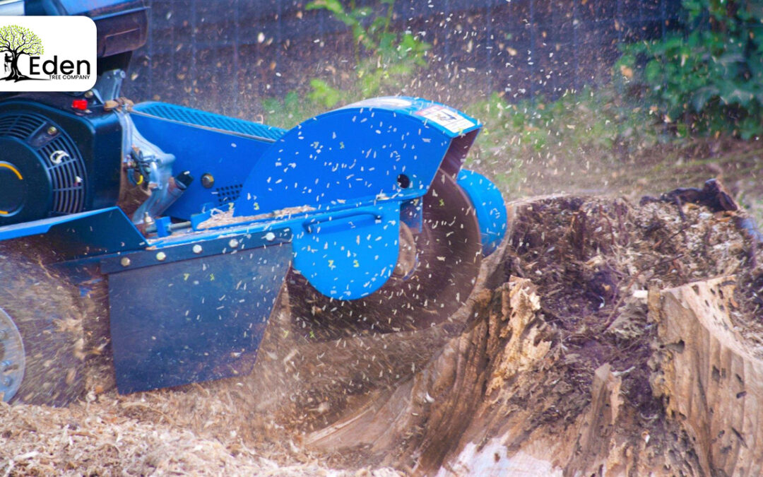 Unveiling The Art Of Stump Grinding Edmond OKC: Transform Your Outdoors