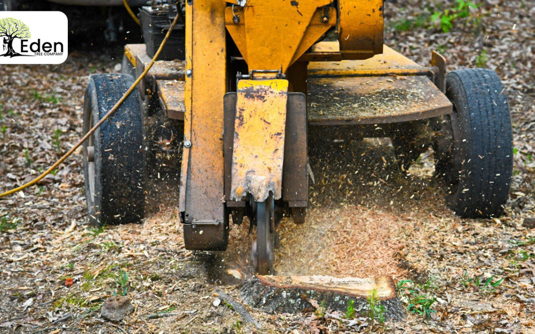 Unveiling The Art Of Stump Grinding Nickel Hills OKC: One Stump At A Time