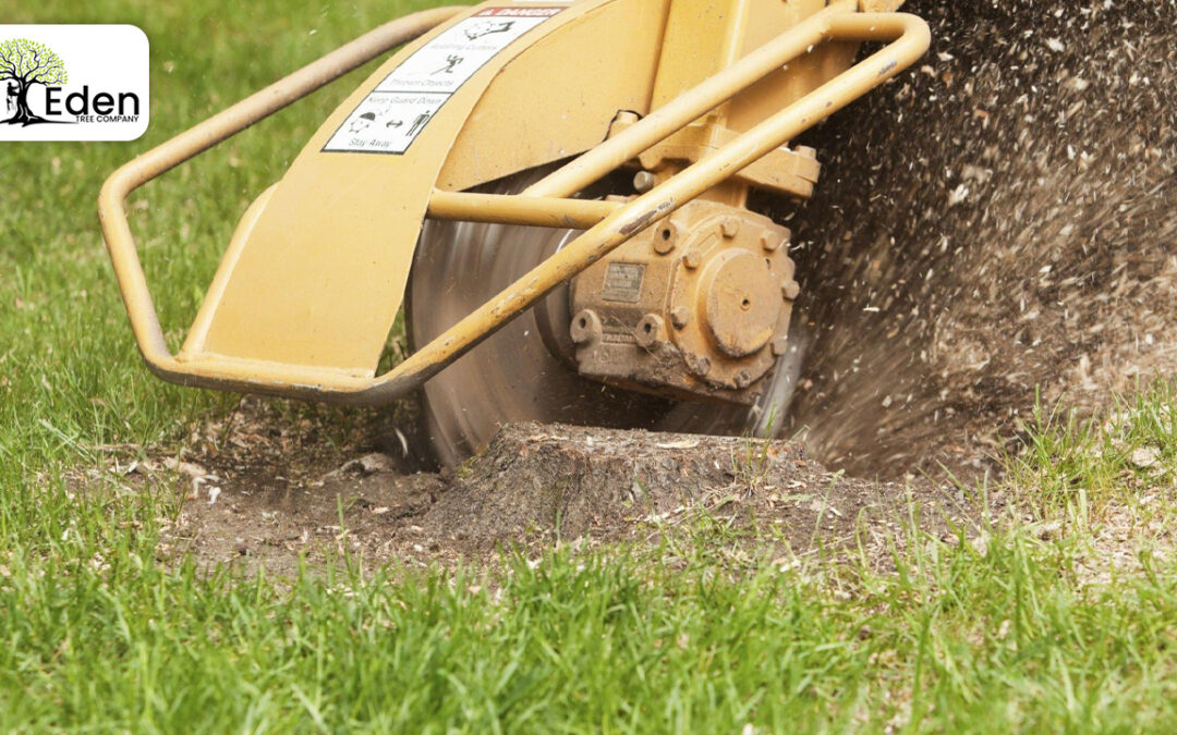 Unlocking The Beauty Of Your Yard: The Ultimate Guide To Stump Grinding Ukon OKC