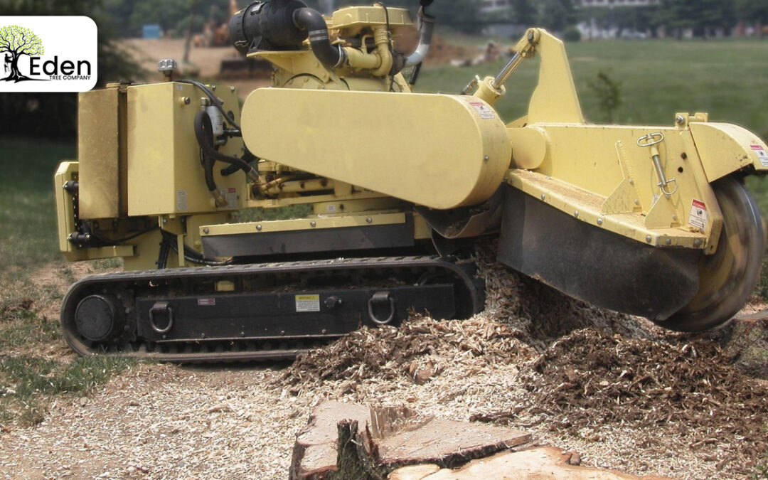 The Art Of Stump Grinding Tulsa OKC: Transforming Landscapes With Eden Tree Company