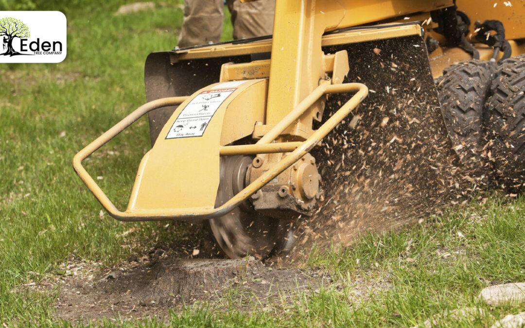 Stump Grinding Piedmont OKC: Revive Your Landscape With Professional Stump Removal