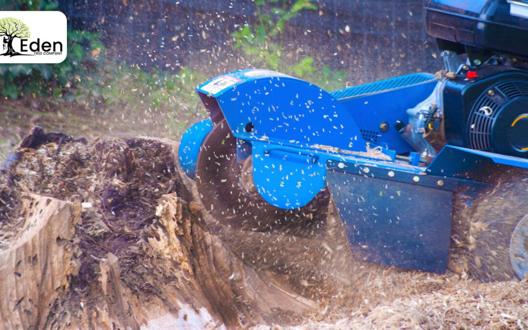 Stump Grinding Newcastle OKC: Transform Your Landscape With Expert Stump Removal