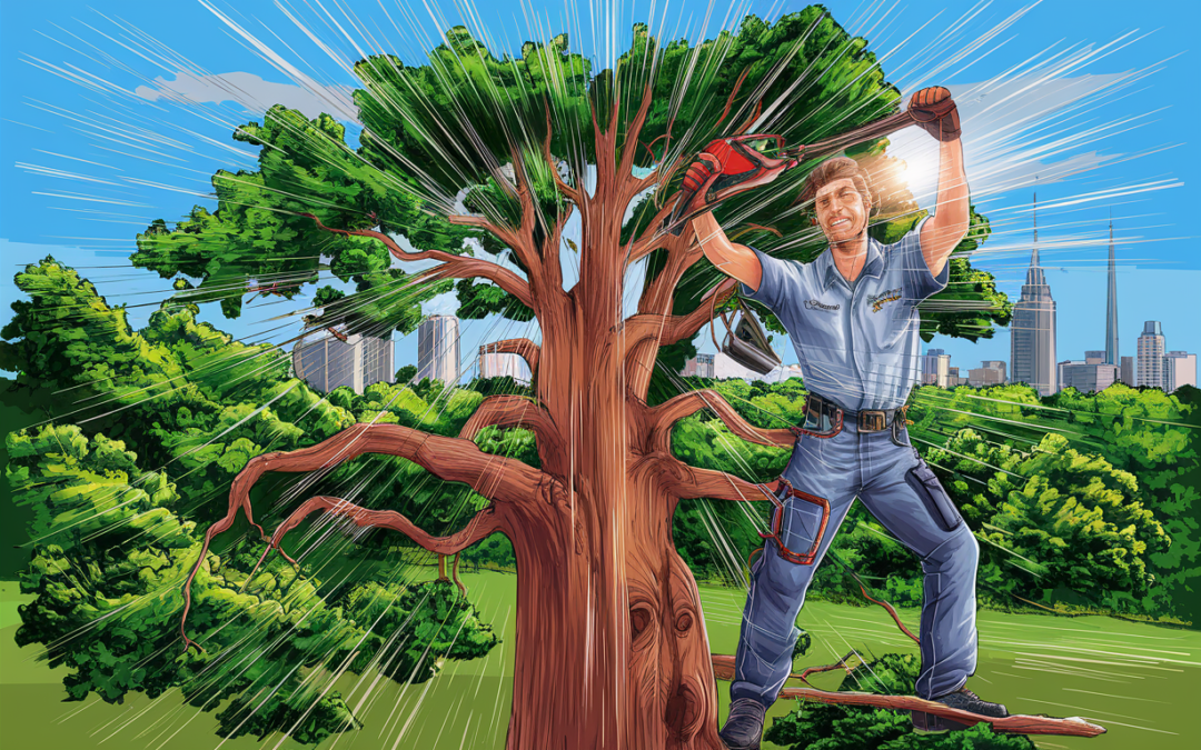 TREE CROWN THINNING OKC Oklahoma City – Expert Services You Can Trust!