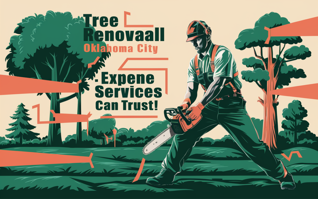 TREE REMOVAL Oklahoma City – Expert Services You Can Trust!